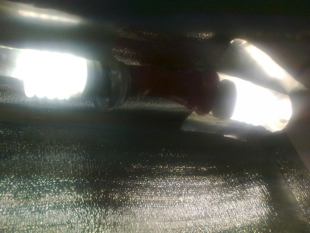 post-10954-0-35270400-1385216721_thumb.jpg