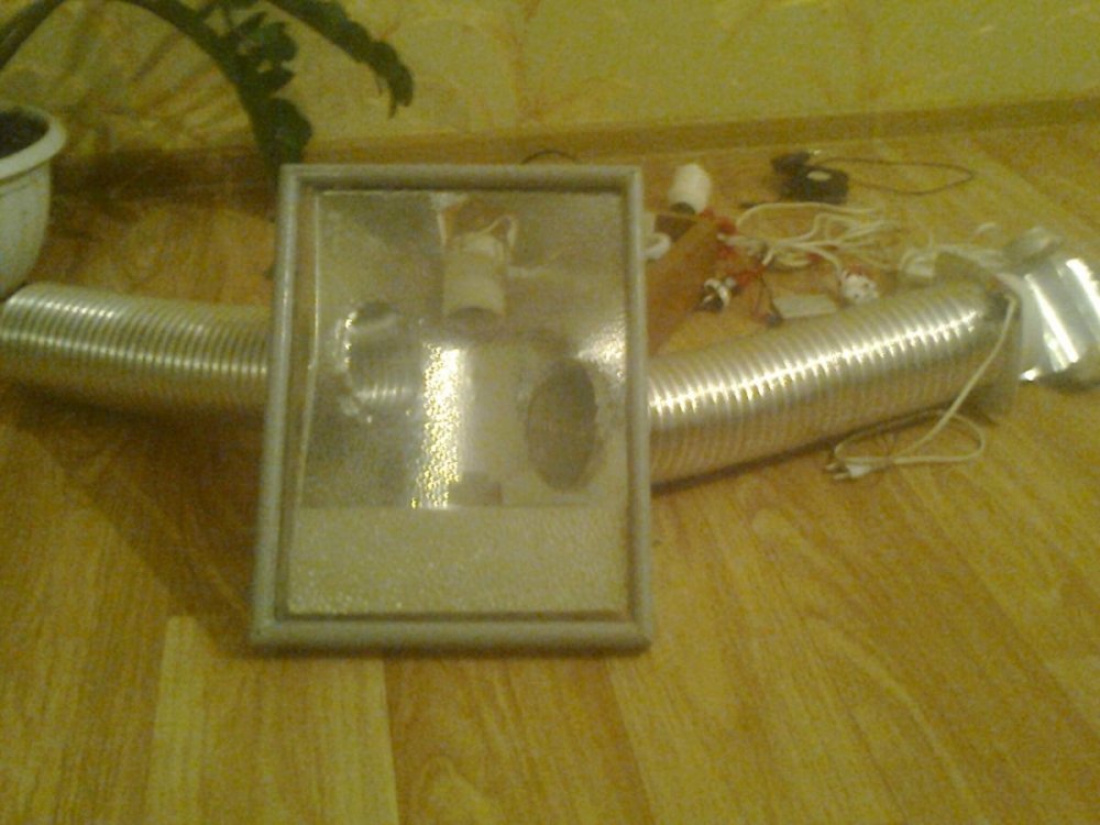post-10954-0-92569600-1385665365_thumb.jpg