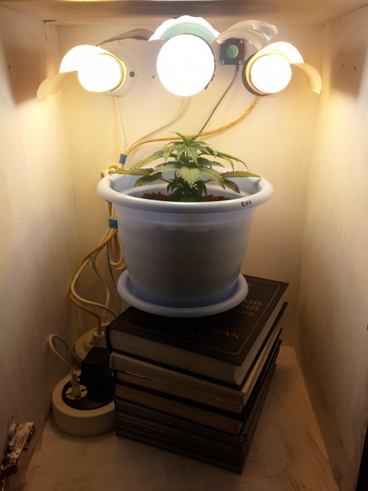post-21930-0-16996100-1415378133_thumb.jpg