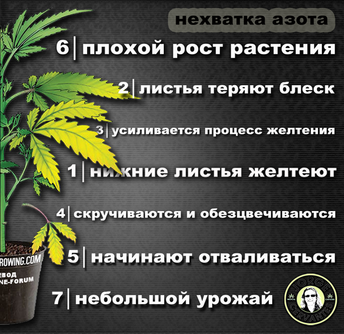 post-10377-0-03013300-1447336996_thumb.png
