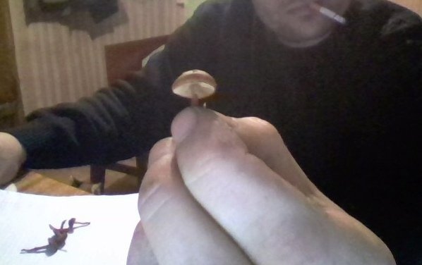 post-29162-0-23119600-1447417899_thumb.jpg