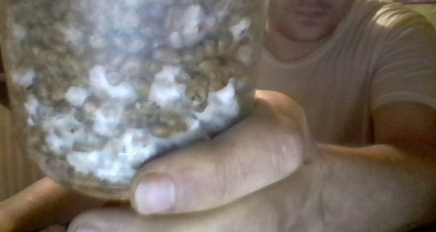 post-29162-0-36856400-1447070643_thumb.jpg