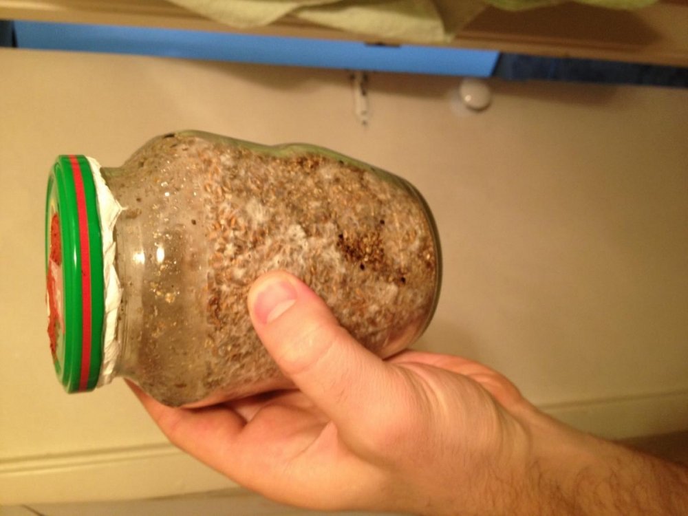 post-29494-0-12526600-1448022221_thumb.jpg