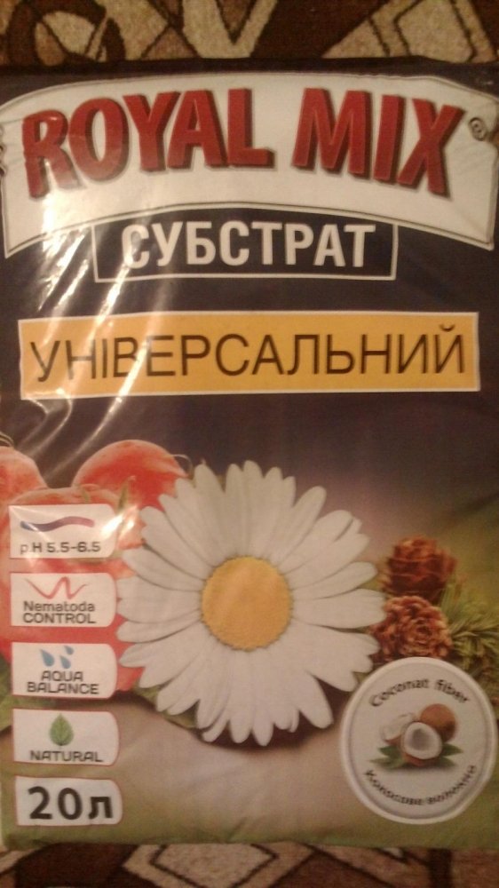 post-32444-0-68032000-1447876946_thumb.jpg