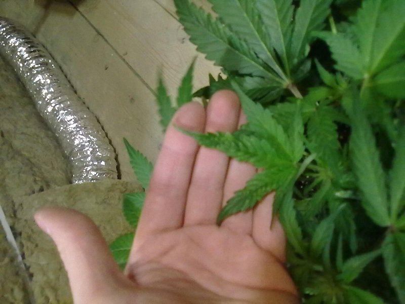 post-11478-0-11751000-1355657490_thumb.jpg