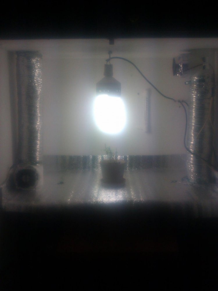 post-13091-0-08292500-1356625264_thumb.jpg