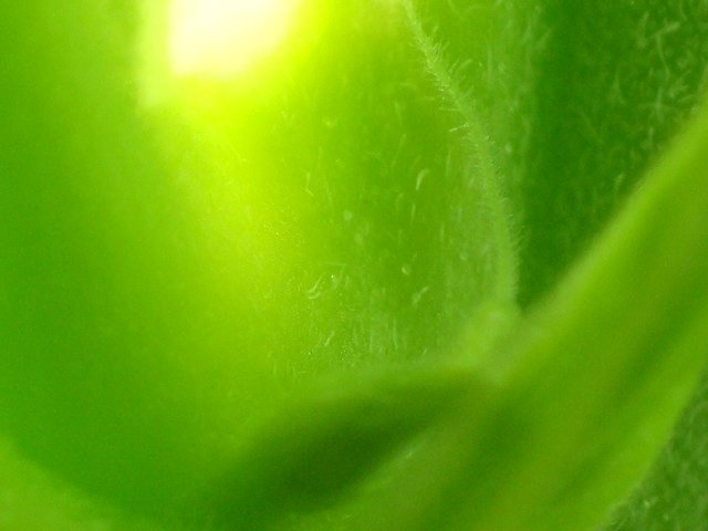 post-4707-0-04933700-1356206117_thumb.jpg