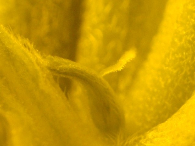 post-4707-0-28433300-1356201967_thumb.jpg