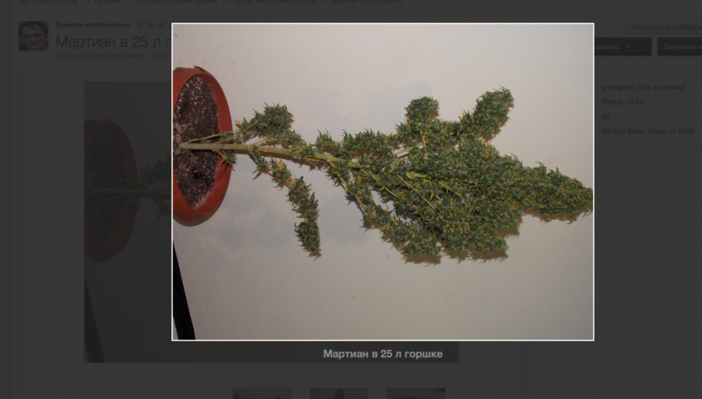 Снимок экрана 2013-12-09 в 13.05.09.png
