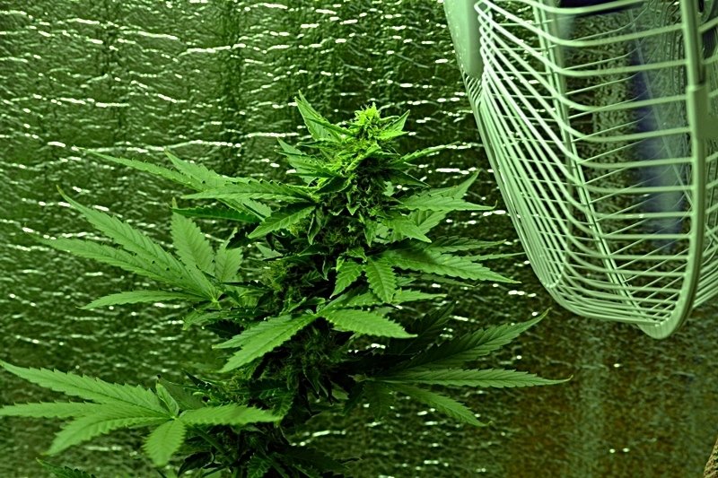 post-13608-0-18201500-1387732735_thumb.jpg