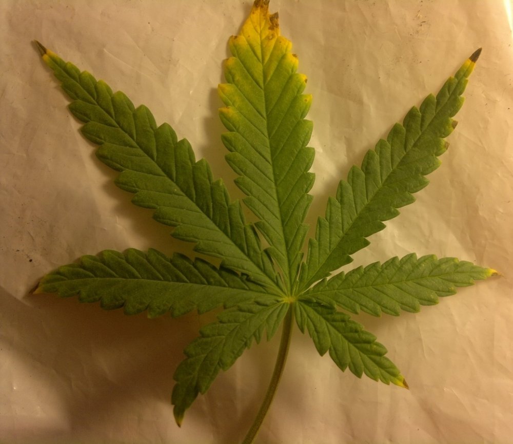 post-2390-0-43599400-1386884508_thumb.jpg