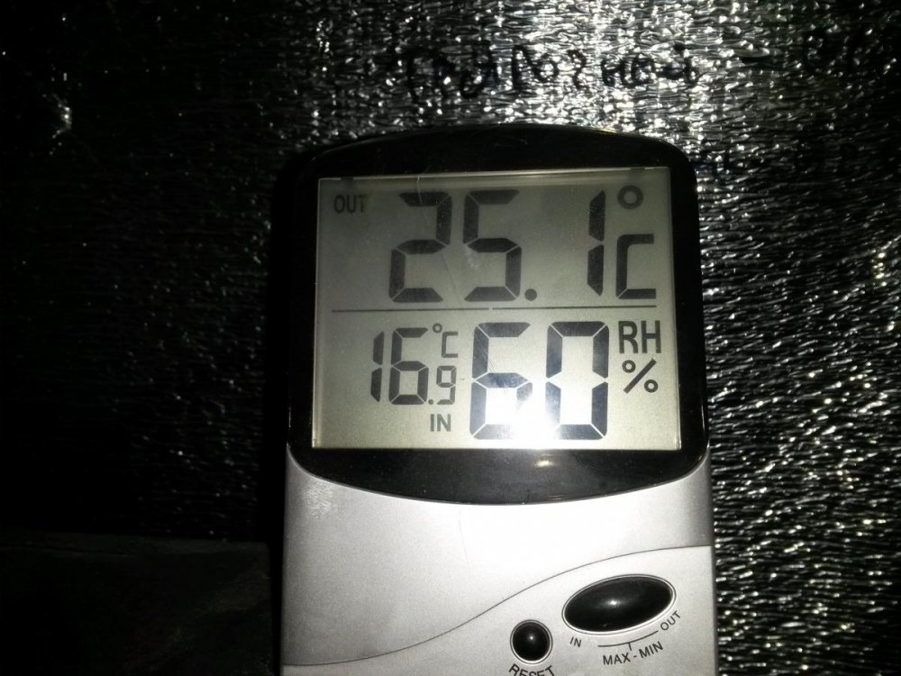 post-13049-0-47540000-1419089147_thumb.jpg