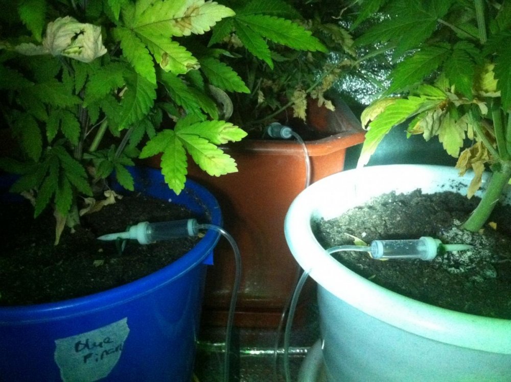 post-15133-0-20910400-1418403479_thumb.jpg