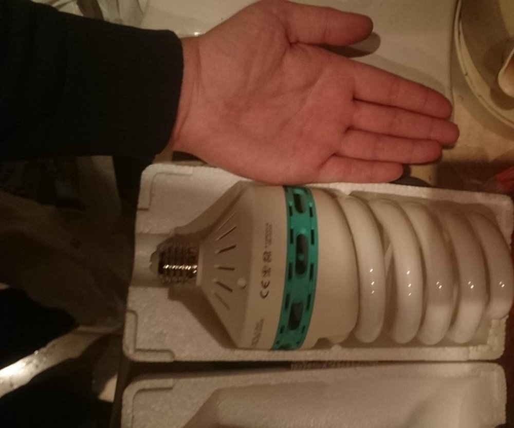 post-31477-0-00495000-1449830917_thumb.jpg