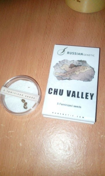 post-33653-0-20549800-1451167660_thumb.jpg