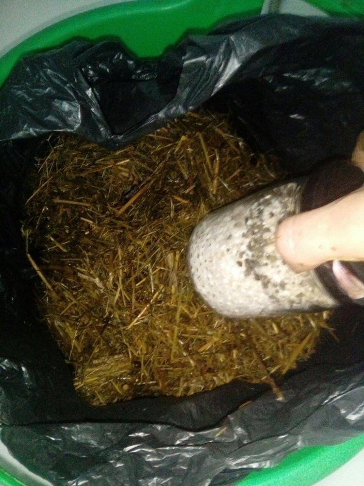 post-35540-0-27446400-1481323950_thumb.jpg