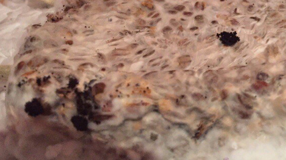 post-38349-0-19190700-1482966939_thumb.jpg