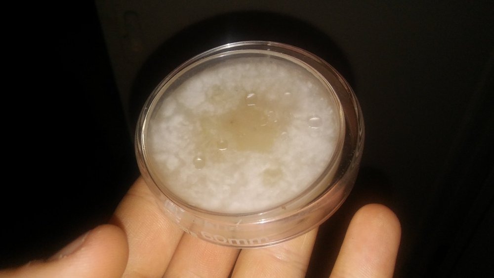 20170706_200533.jpg