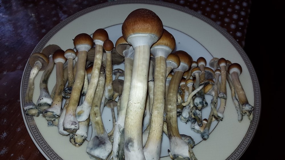 20170715_101740.jpg