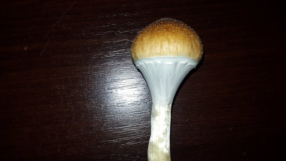20170720_193811.jpg