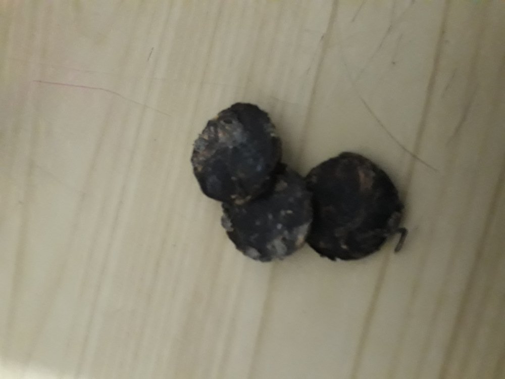 20170721_112741.jpg