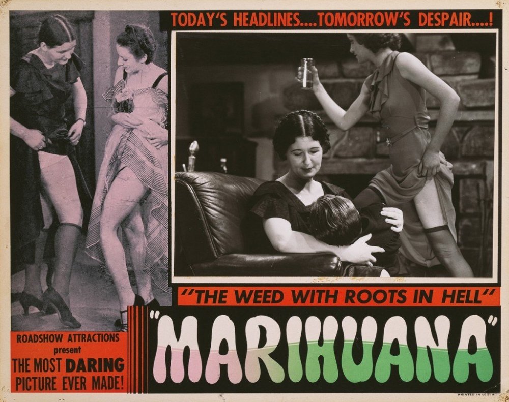 marijuana under attack.jpg