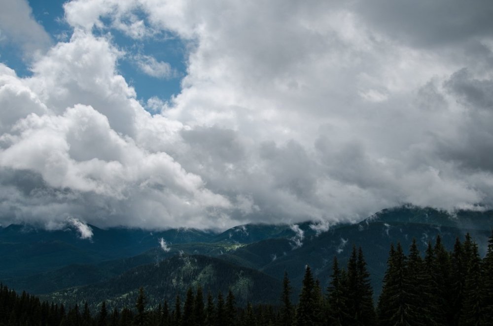 DSC_6637.thumb.jpg.6a210c4432ddb0581524f369837f82bf.jpg