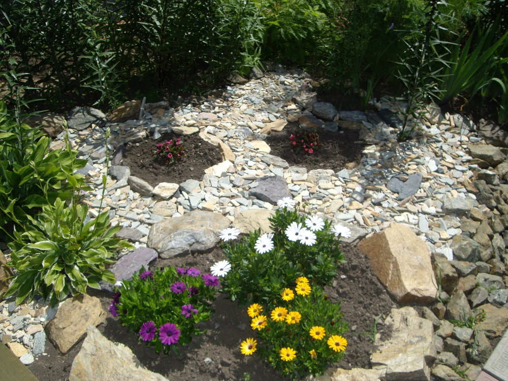 IMGP0174.thumb.JPG.aa204db64a2e61c3cad457c71e143268.JPG