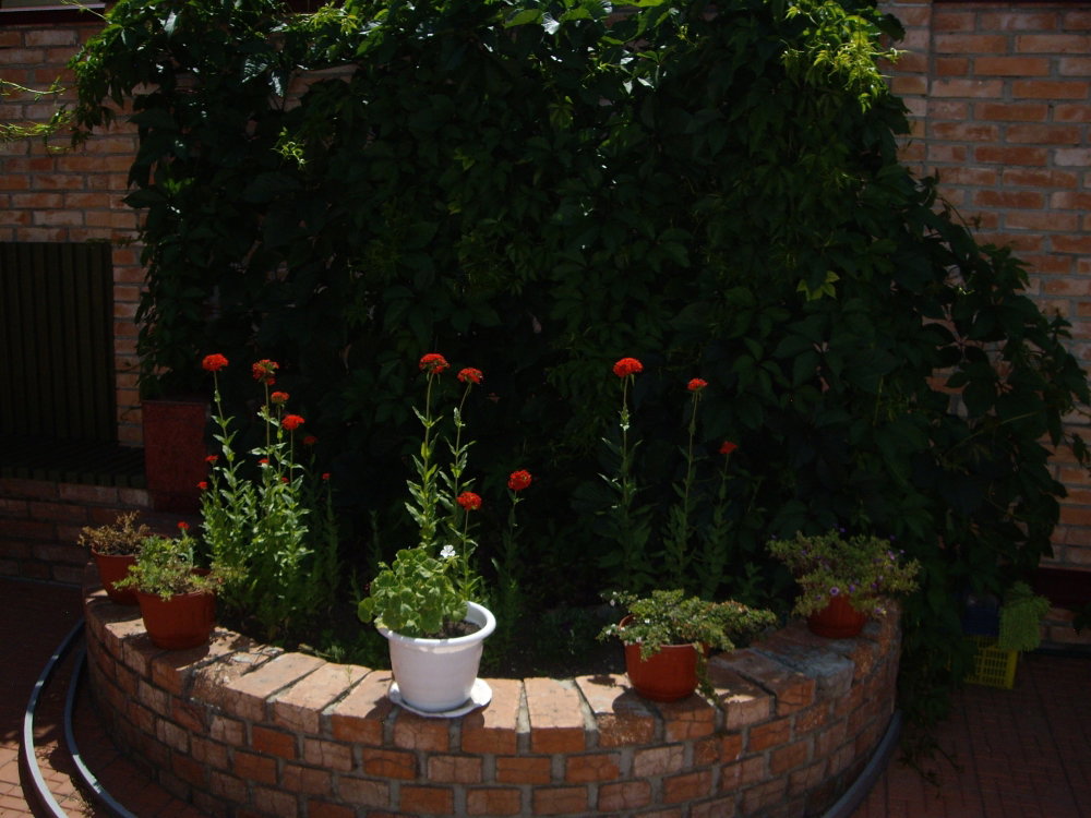 IMGP0195.thumb.JPG.fc484b8d9bbea449e631077e15d92df5.JPG