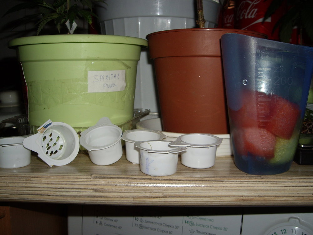 IMGP0210.thumb.JPG.16964b7b9dbeb8f3d15ee10c053b5568.JPG