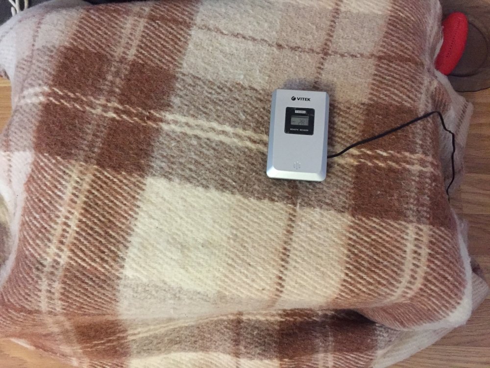 image1.jpeg