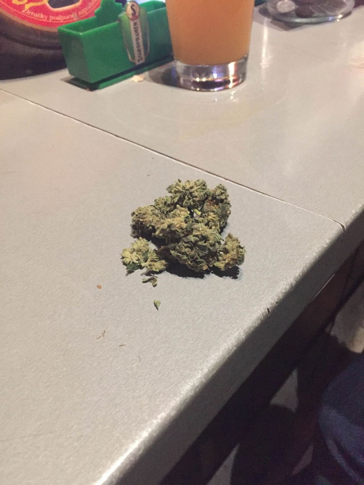 kenny_island_buds2.JPG