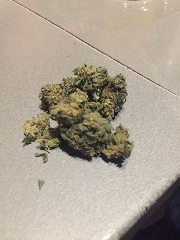 kenny_island_buds3.JPG