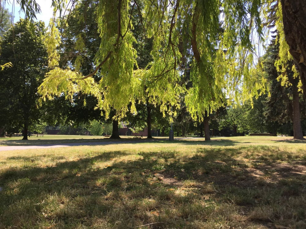 park4.JPG