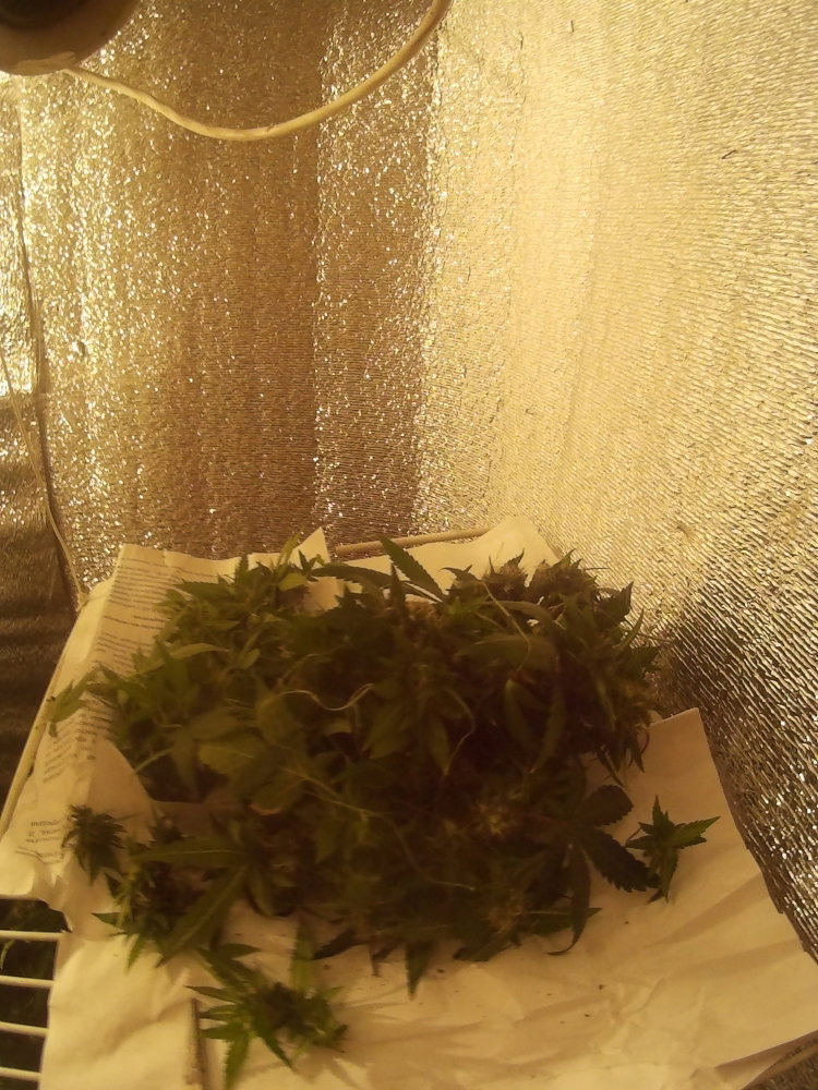 2016_0110_143327_020.JPG