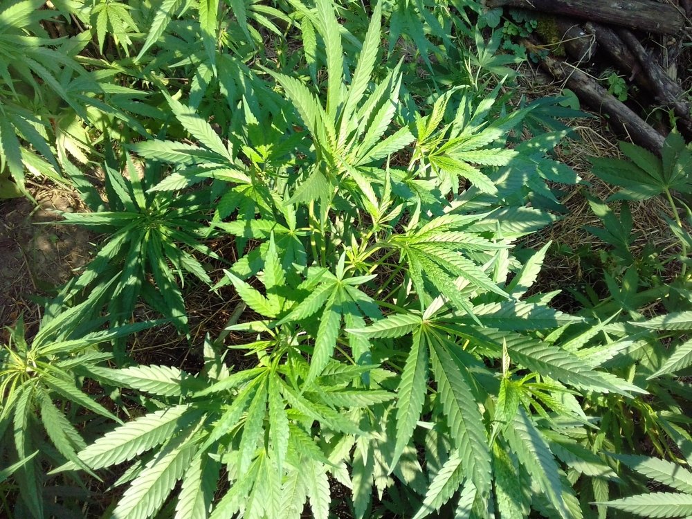 20170822_163835.jpg