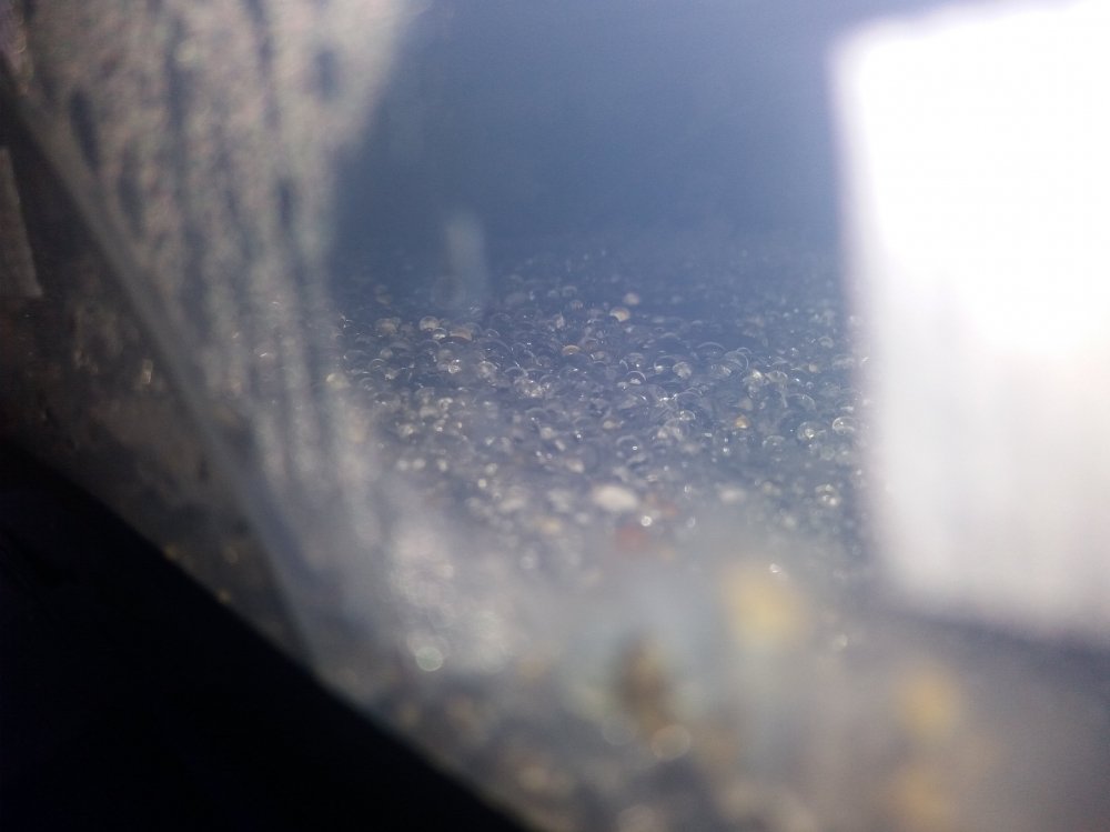20170826_132202.thumb.jpg.55f16bfb13f4c18c714757da67af0526.jpg