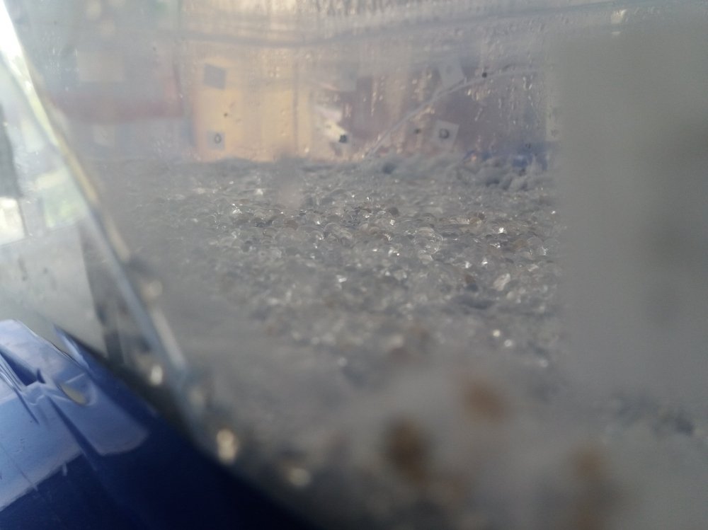 20170826_132207.thumb.jpg.c071cd95c903548a982f5d9c1cb7d109.jpg