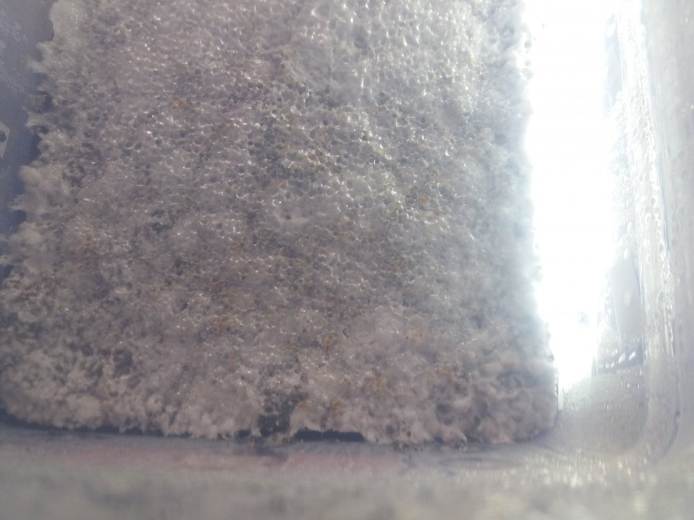 20170826_132636.thumb.jpg.a60978e203ccae6362ab9c43680325d7.jpg