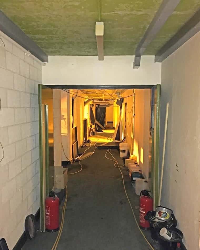 bunker cannabis 2.jpg