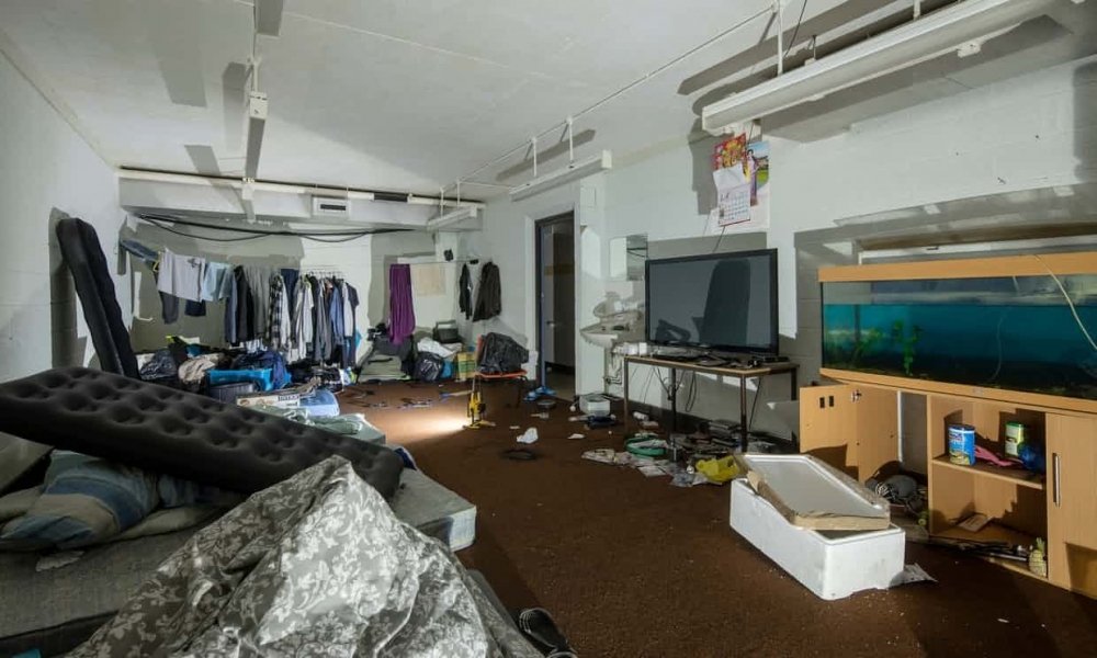 bunker cannabis 6.jpg