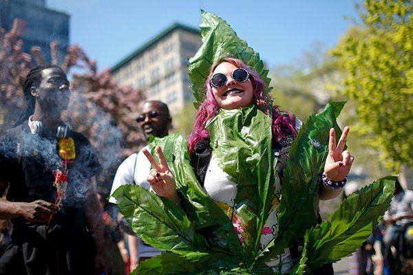 cannabis city2.jpg
