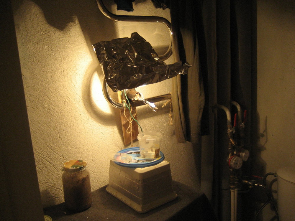 IMG_2410.thumb.JPG.302d1c98aac5add08cef589aba3179c2.JPG