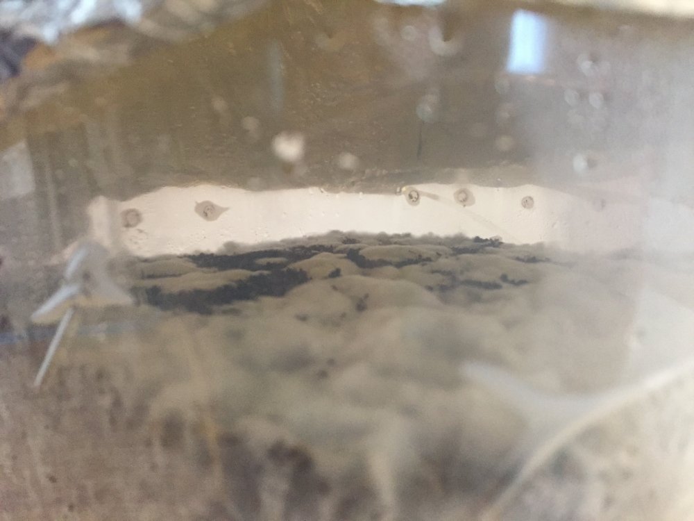image1.jpeg