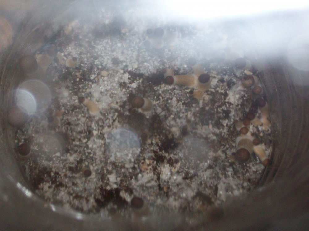 100_4114.JPG