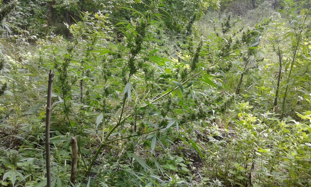 20170904_132855.jpg
