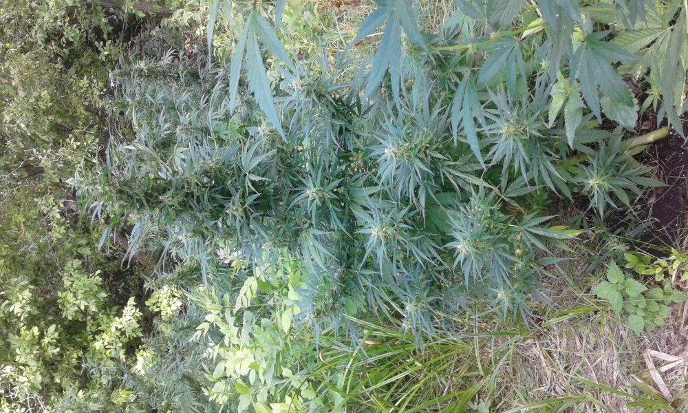 20170904_133936.jpg