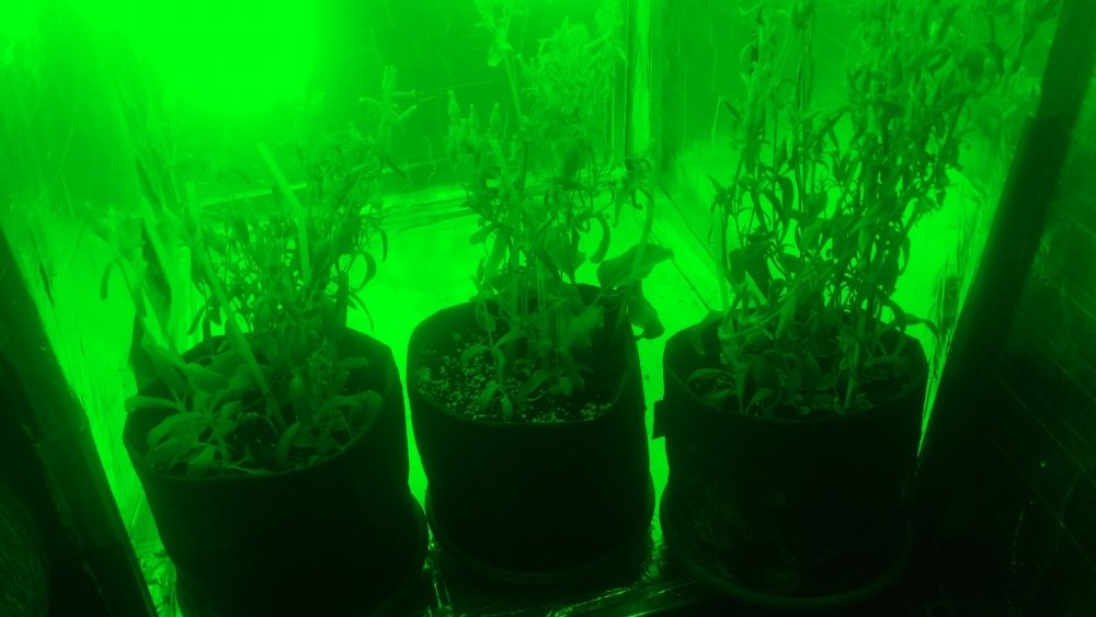 20170911_161247.jpg