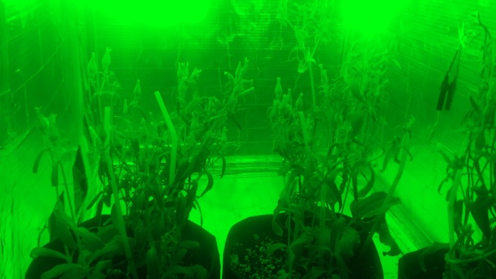 20170911_161309.jpg