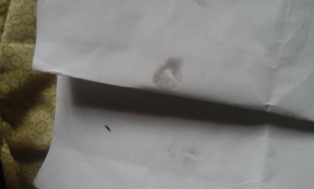 20170914_171541.jpg